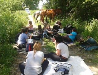 Pause pique nique avec les chevaux